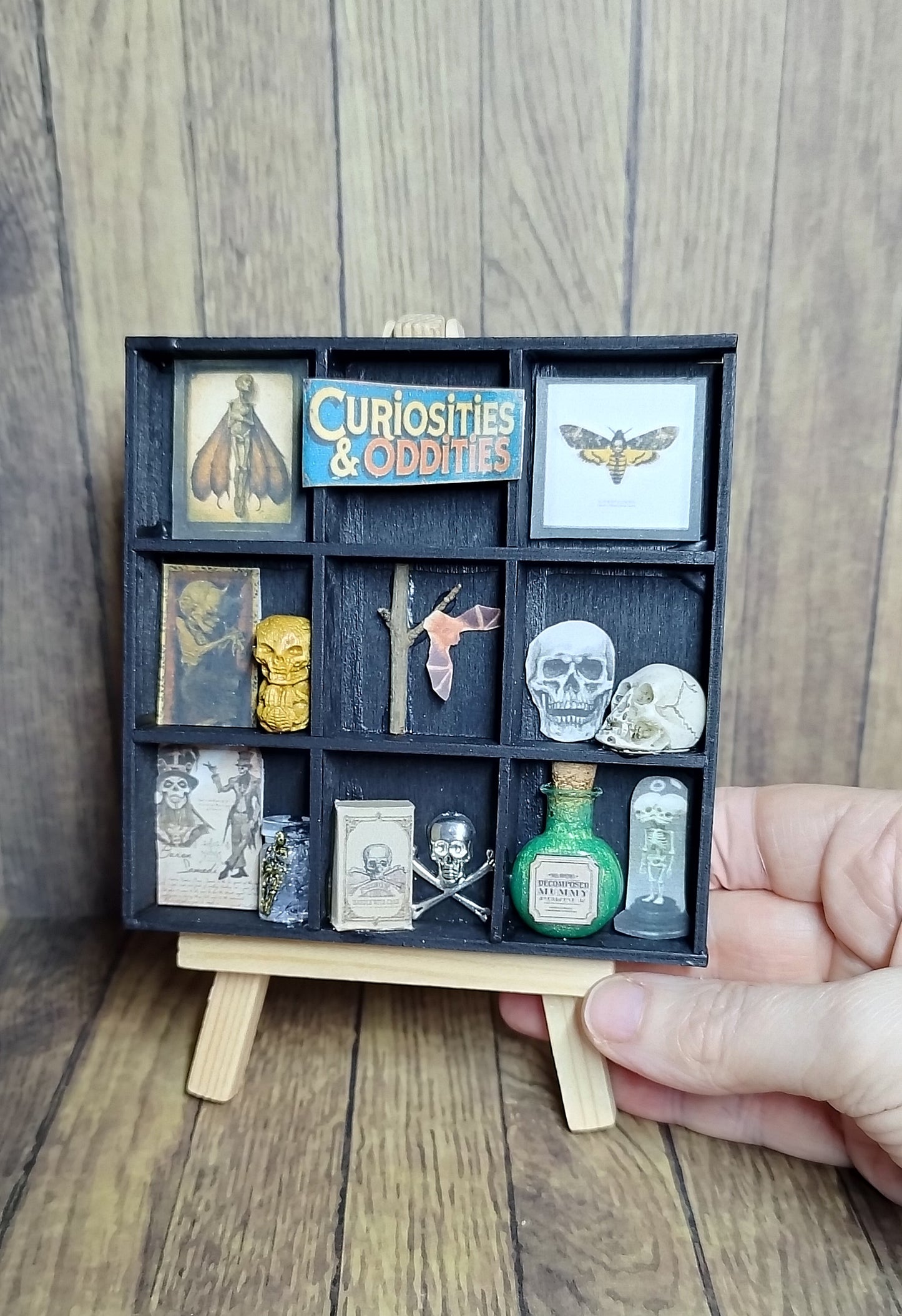 Curiosity Miniature Display Easel